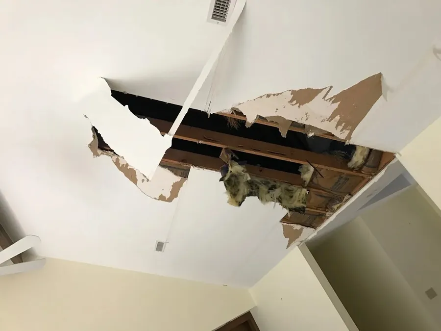 Ceiling plaster brought down by a roof leak
